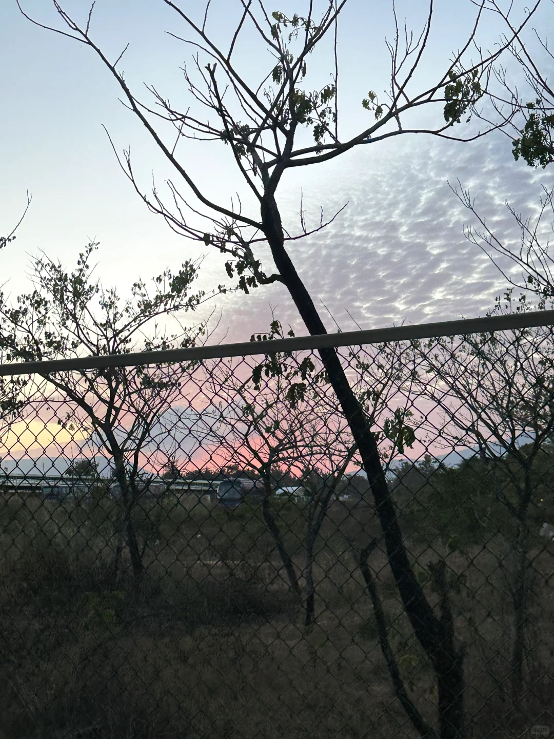 好天气 ´͈ ᵕ `͈ ☀