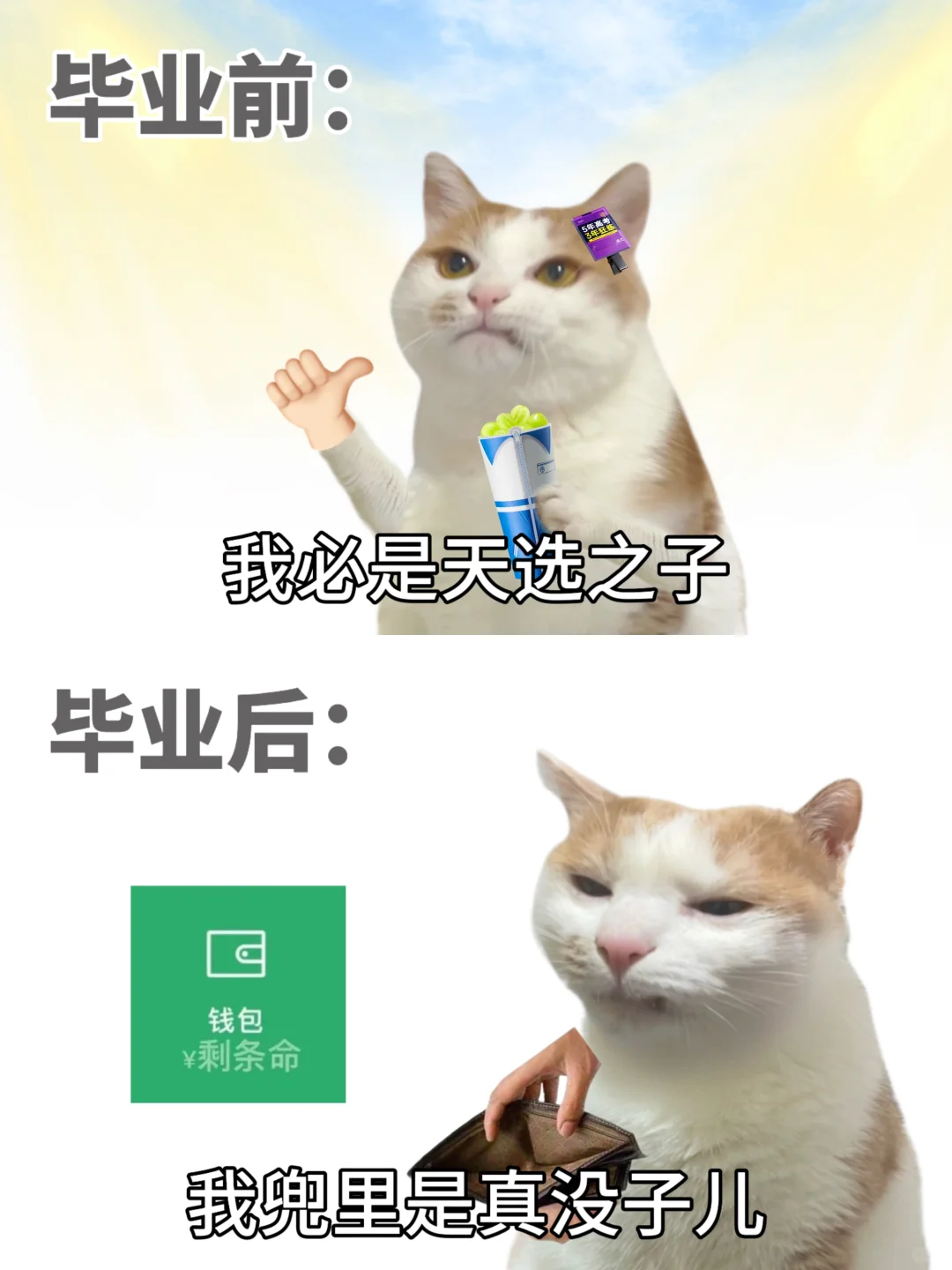 当代年轻人毕业前后精神状态 | 表情包