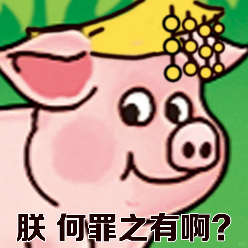 猪届顶流？速来投稿表情包！
