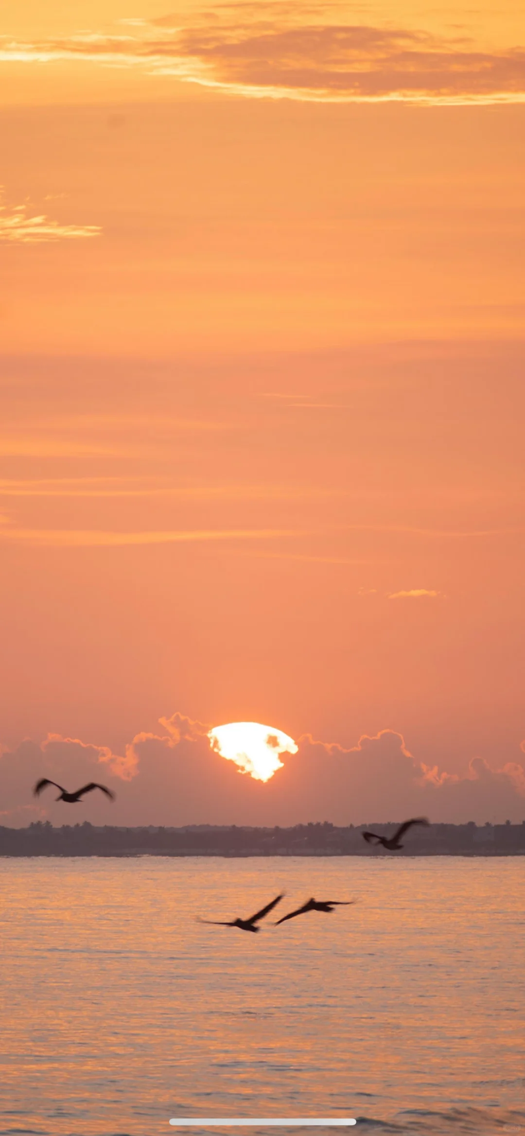 “日向晚 声声慢”丨日出🌅日落🌇