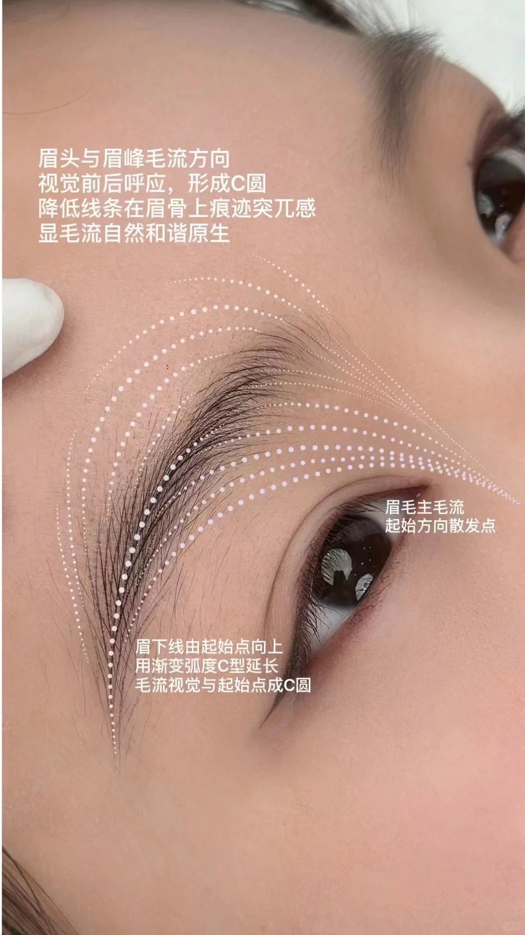 标准模版