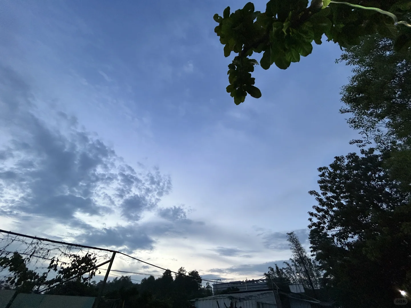 粤圈公主自己下午茶～
