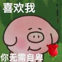 谁还没有这只猪的表情包🙋