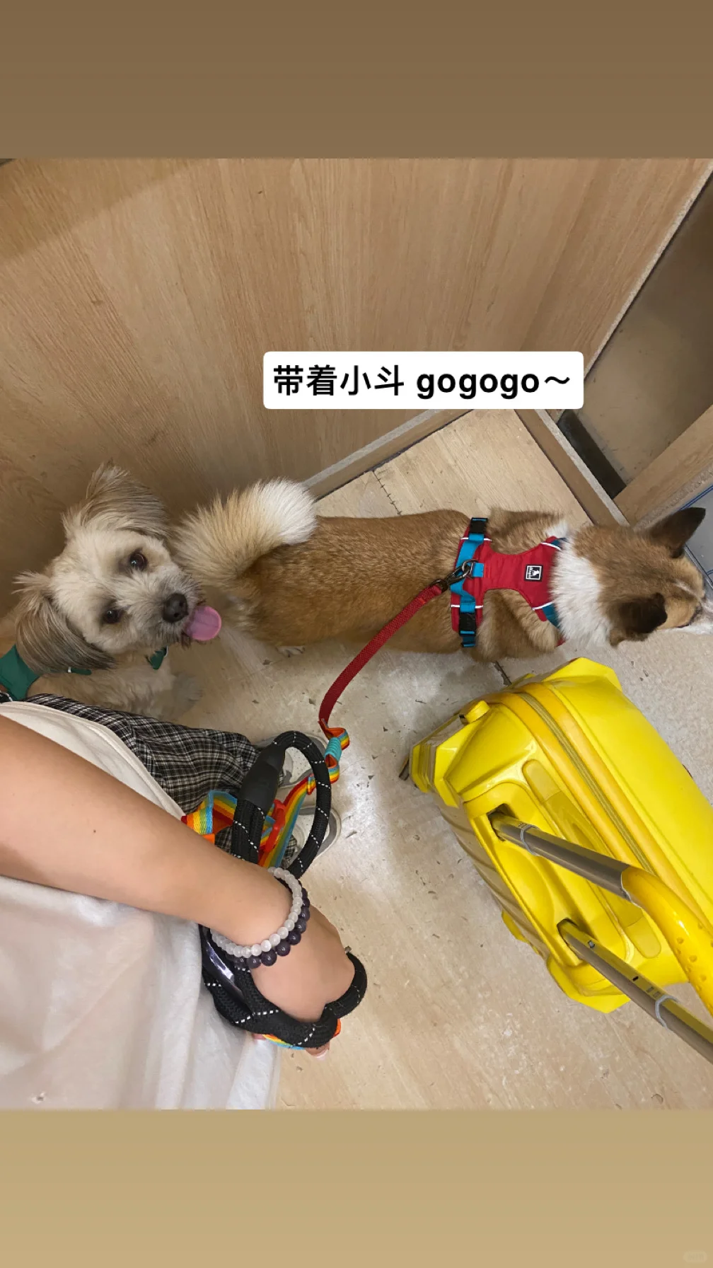又该上学了🎒