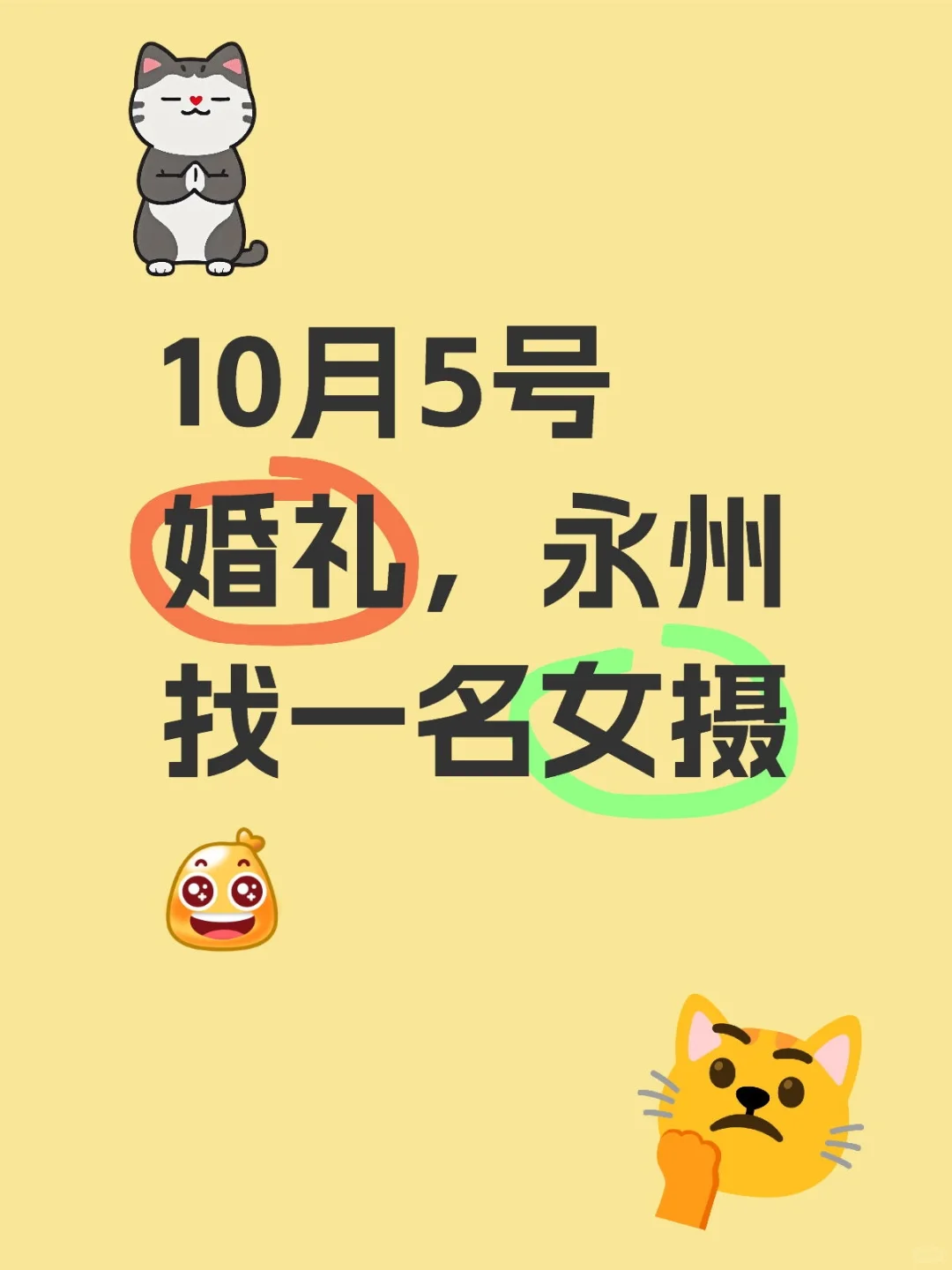 寻找一位审美在线的女摄影师~
