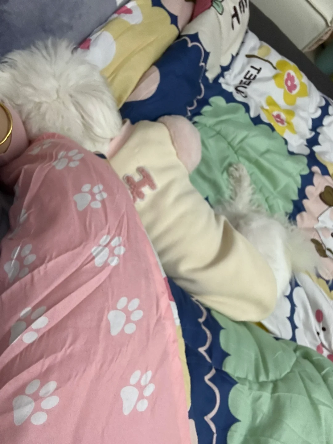 近日份ootd