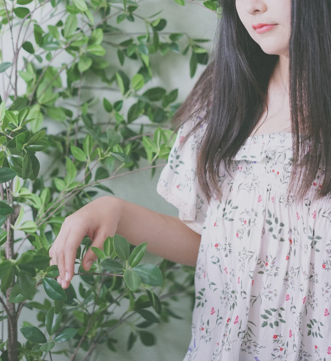 室内少女写真┃花雾