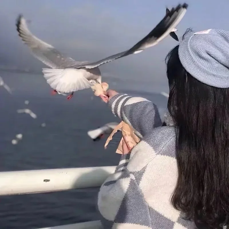绝绝子女神头像