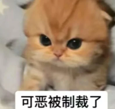 🐱：跟我的喵喵拳说去吧