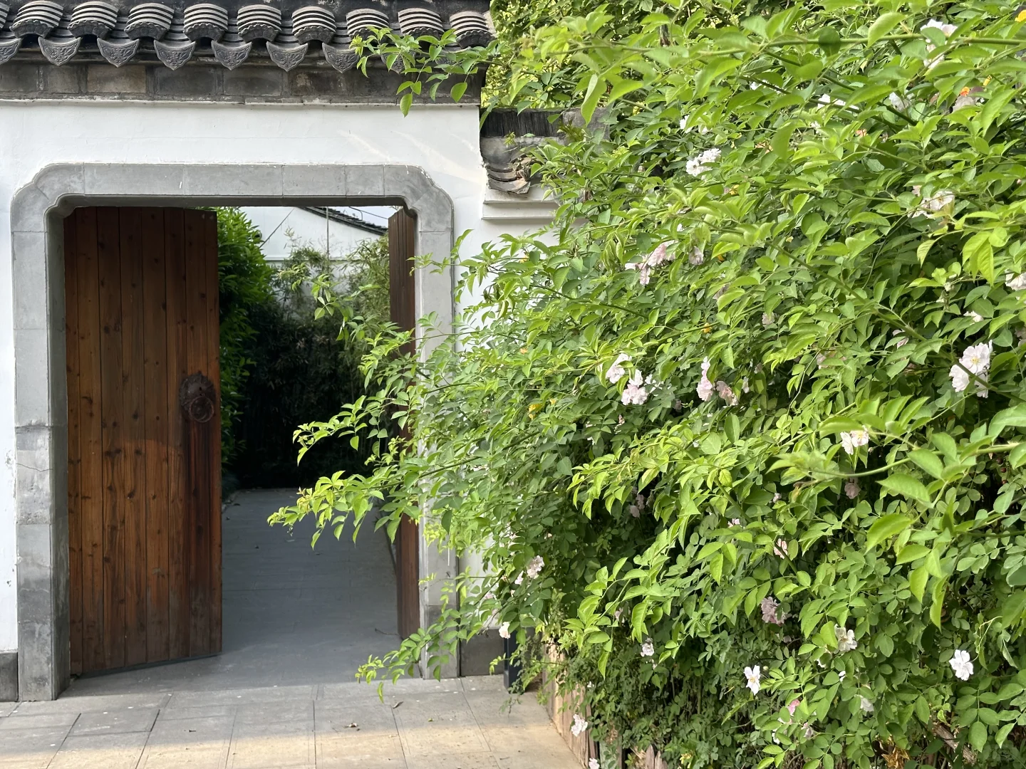柔是东方骨 姿是心无拘 🍃