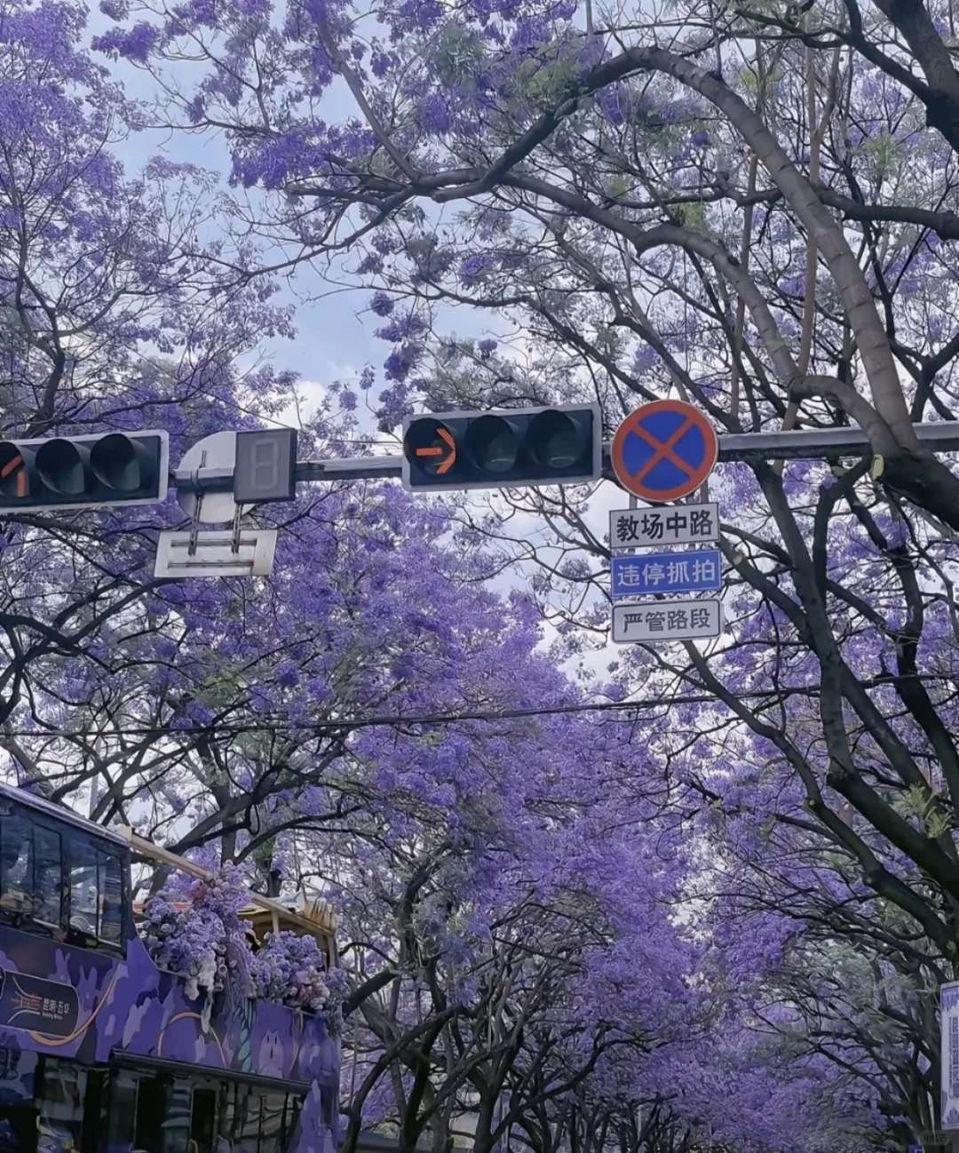 6月去昆明，三天两晚超绝攻略🌸