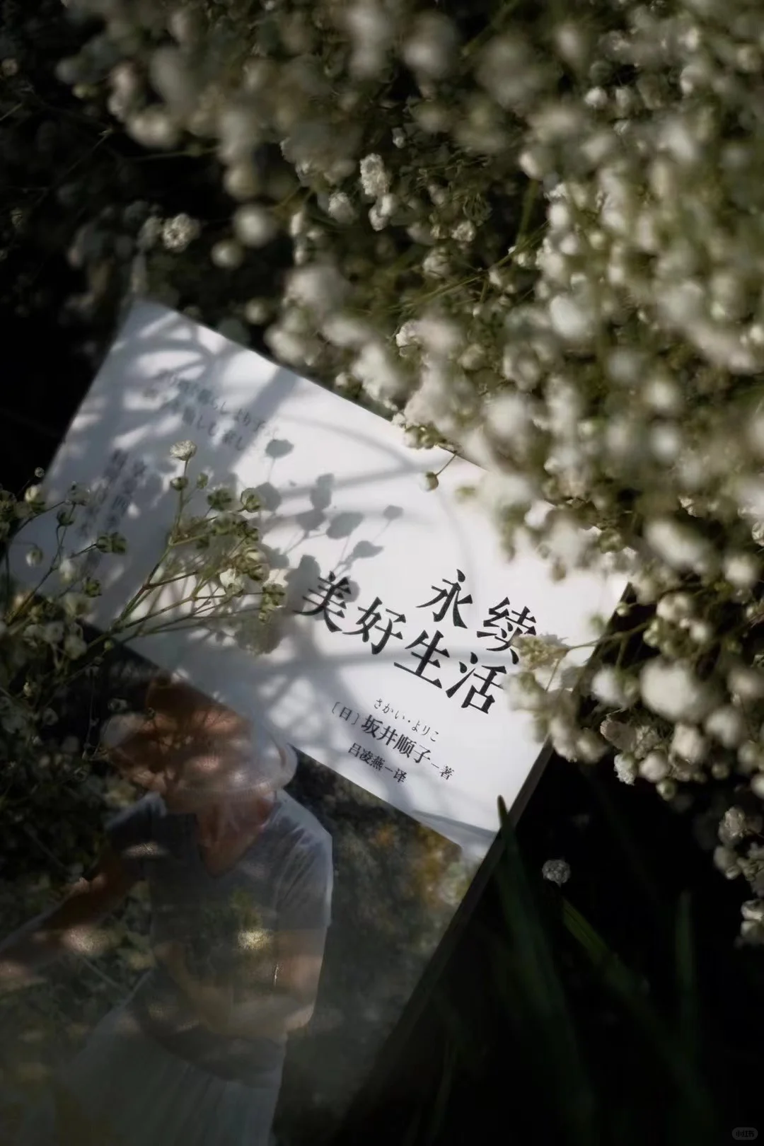 汗如雨下～不蹦不跳力量训练