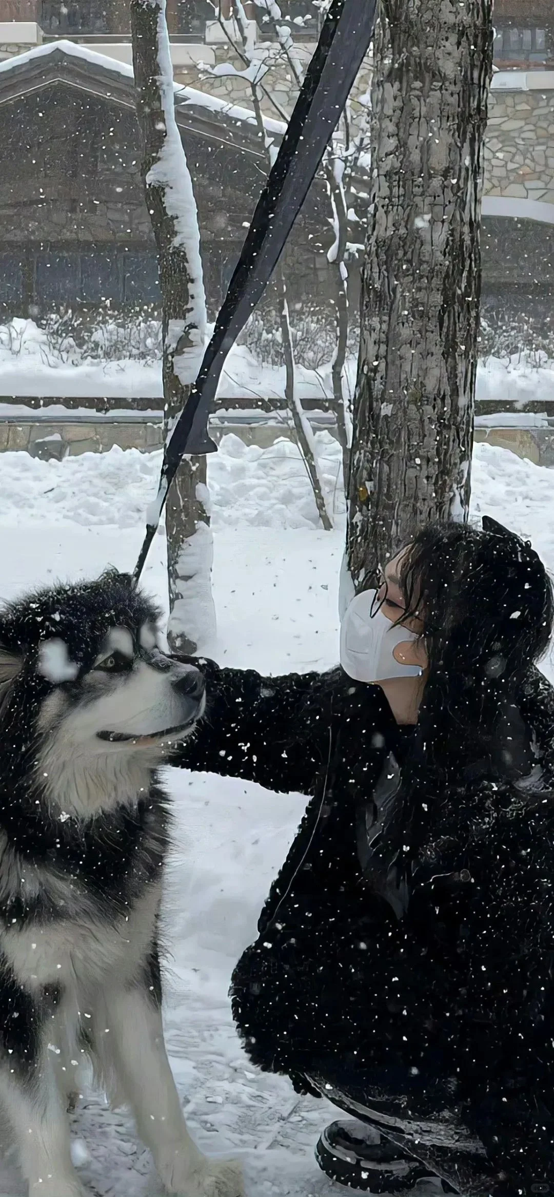 手机壁纸|白色雪景壁纸❄️