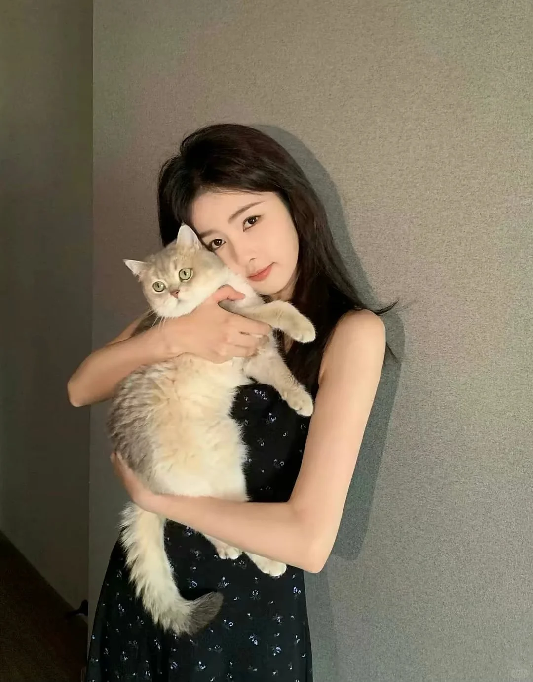 白鹿小众壁纸