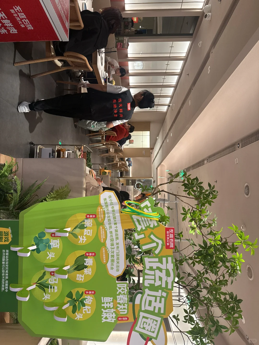 套个蔬适圈
