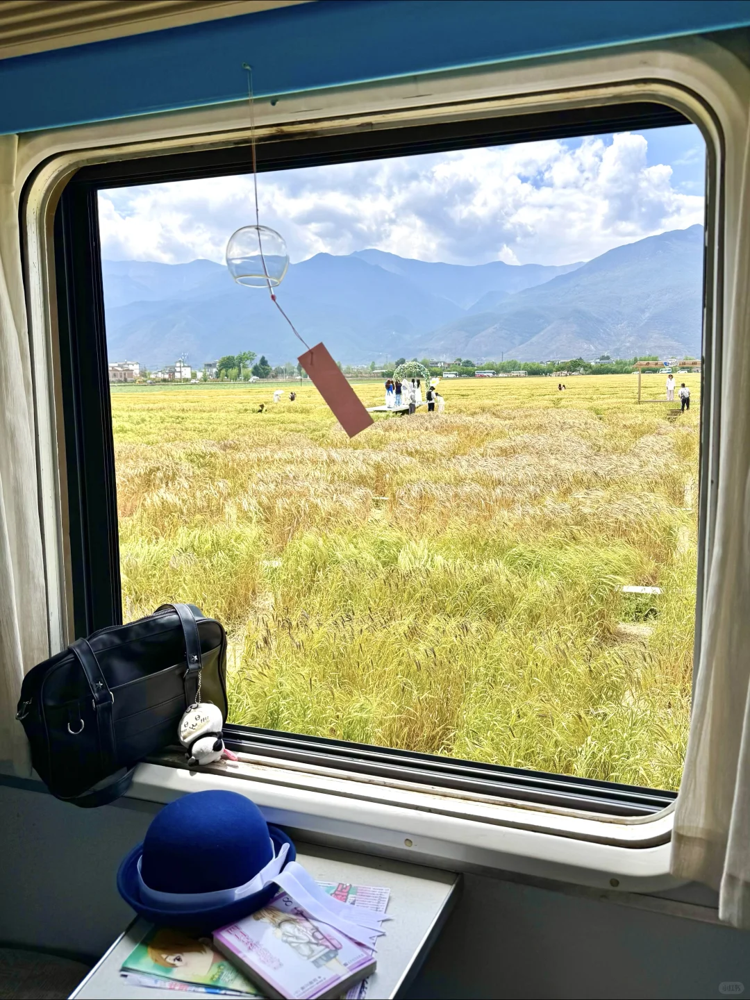 通往夏天的列车🎐