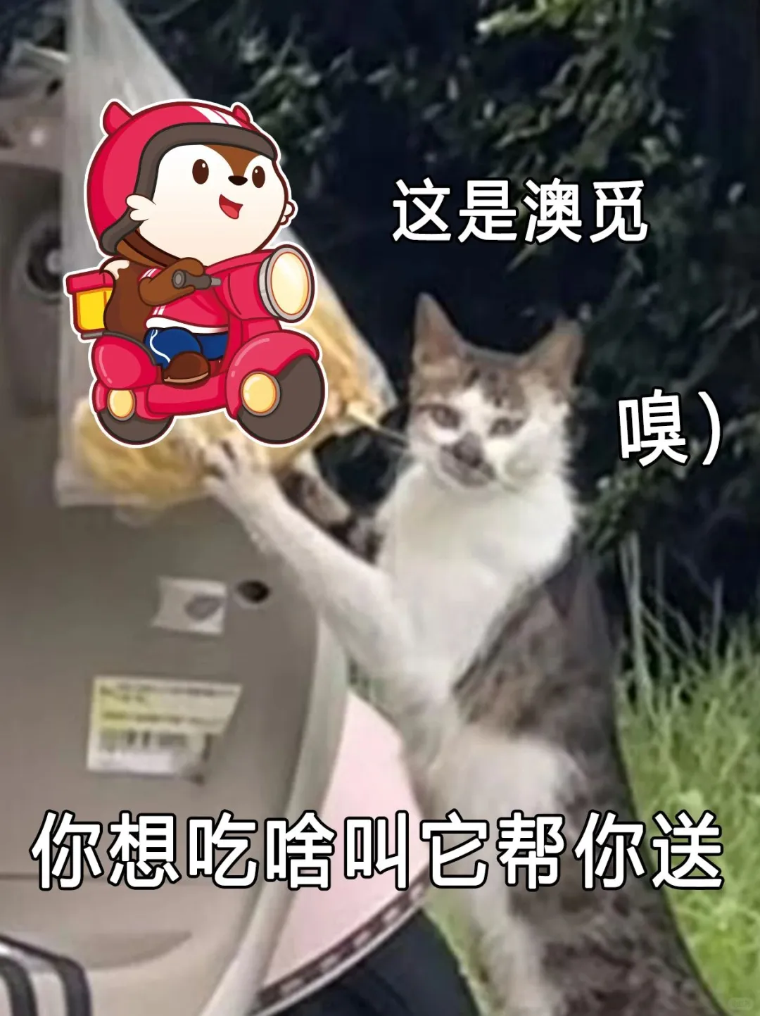 听劝，520可以发什么文案？