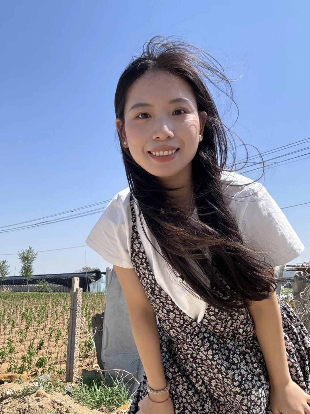 🍃好喜欢这一组风里的live图ˋˏᰔᩚˎˊ˗