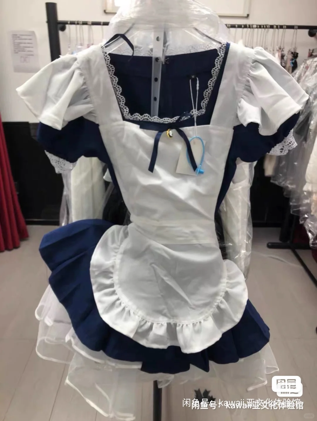 全新的bodyline谁要！