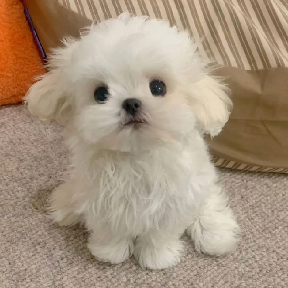 可是爸妈 大城市天然的就是很适合女生生活