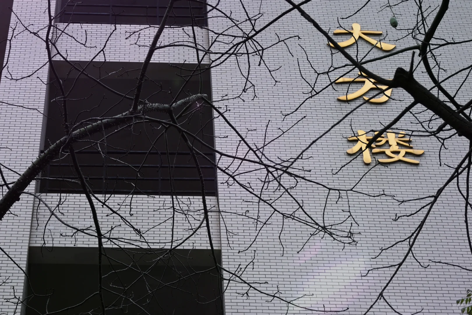 一组校园
