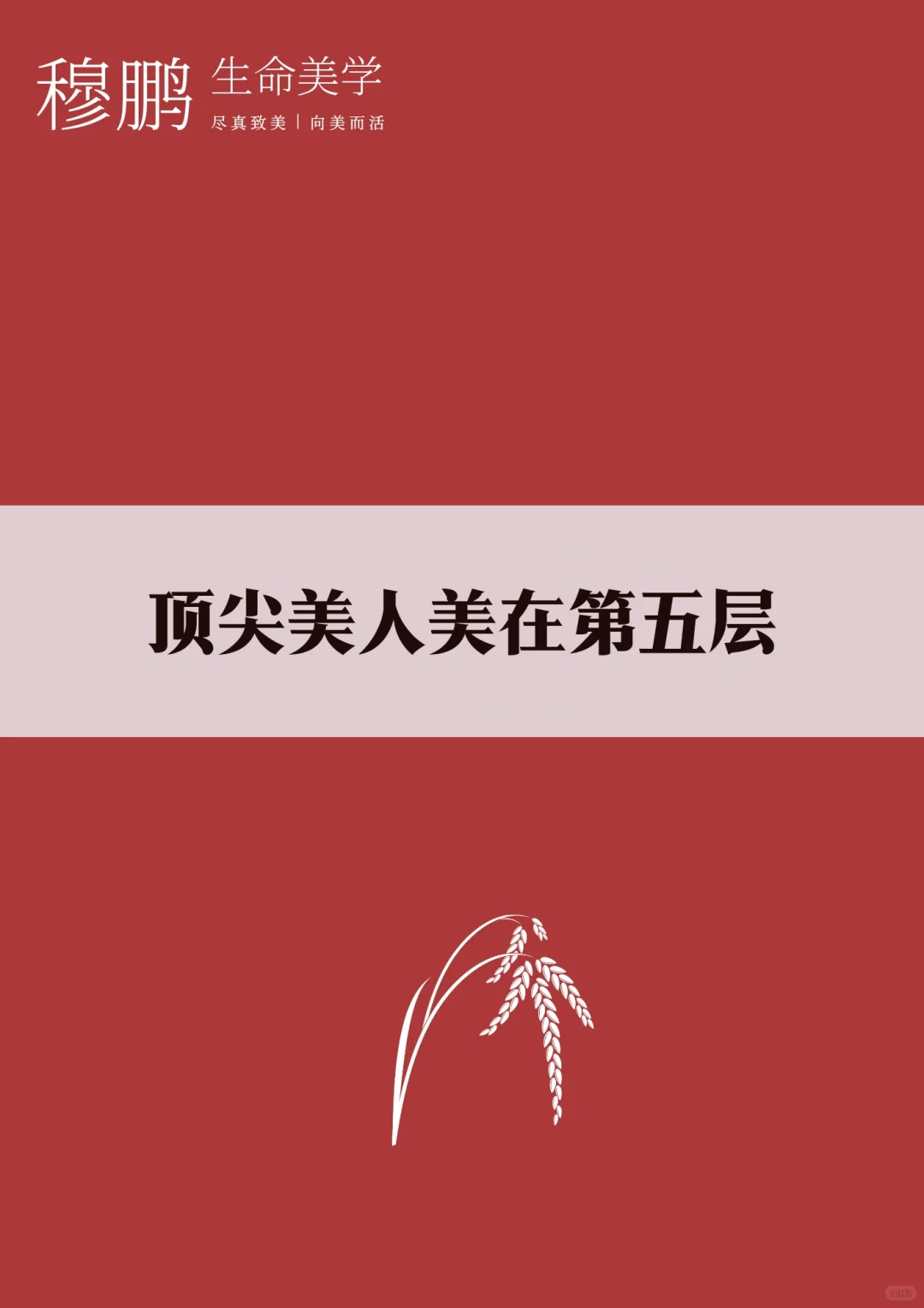 顶尖美人有大美