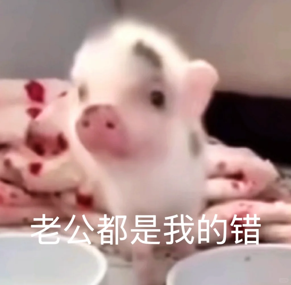 小香猪表情包第四弹