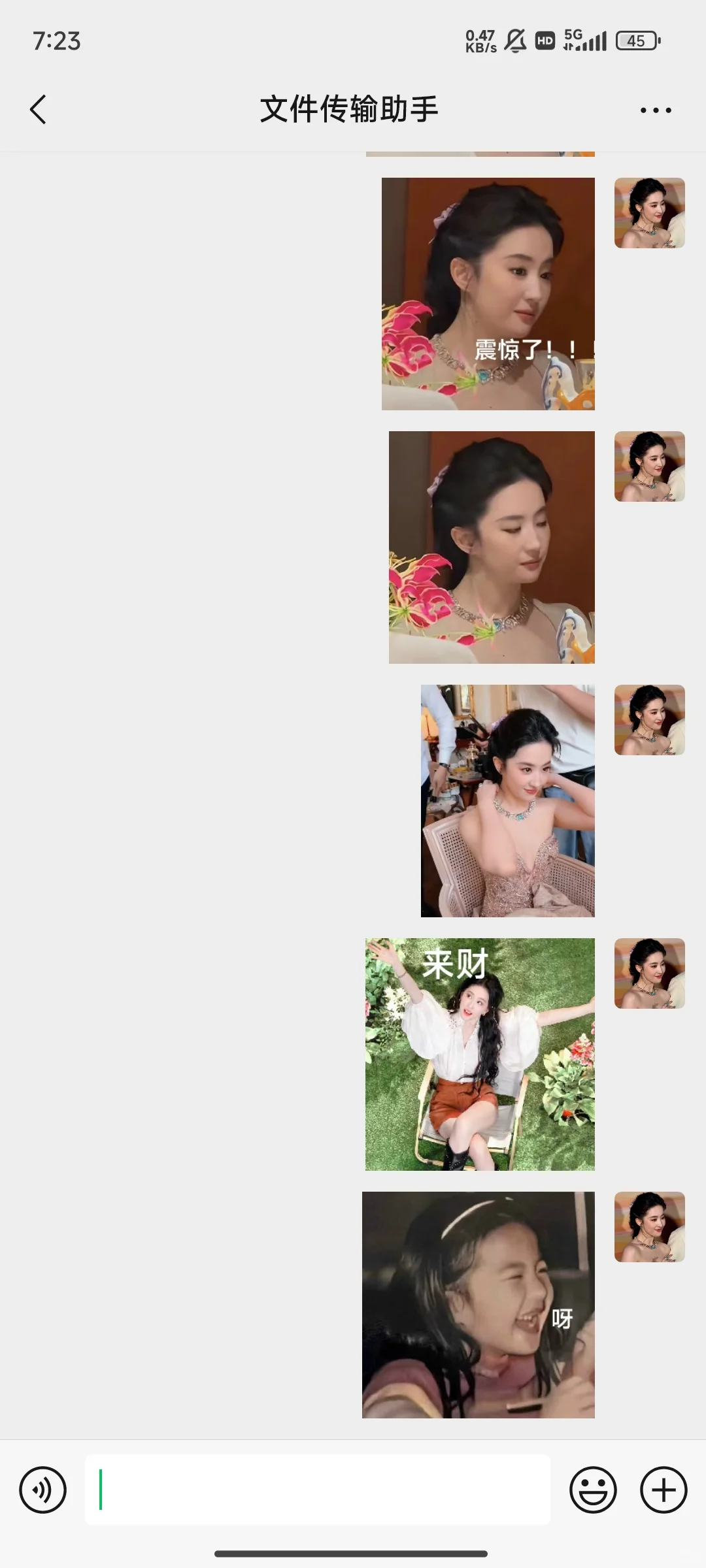 自制刘亦菲最新表情包