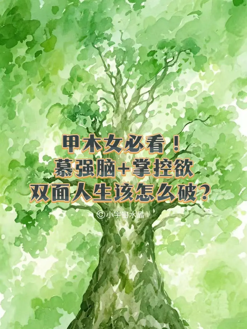 甲木女感情必踩雷区！双面人生该怎么破？