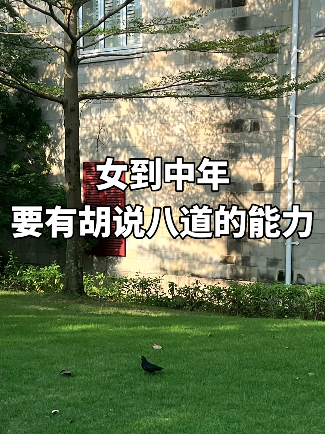 中年女人一定要有胡说八道的能力