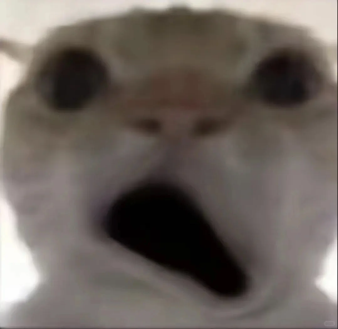 发疯猫猫头系列表情包