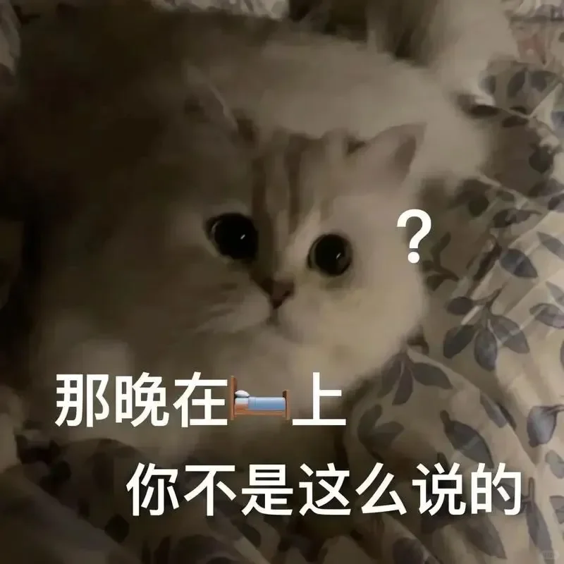 感情升温小妙招丨超不正经的情侣猫猫表情包