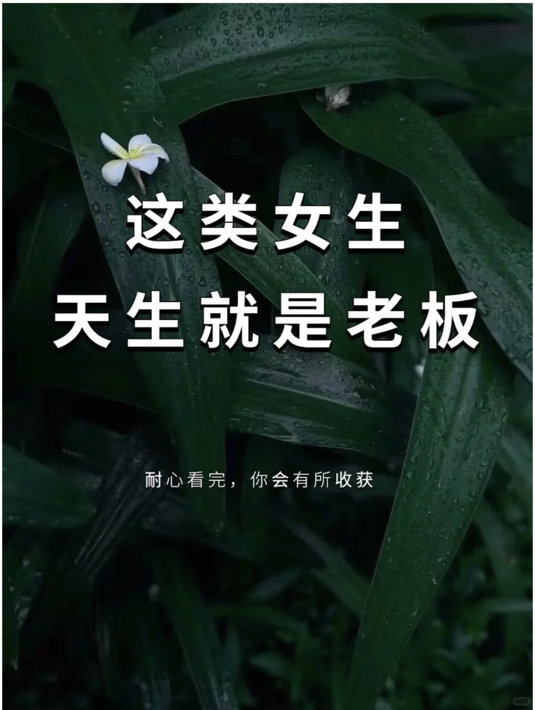 这类女生天生就是老板
