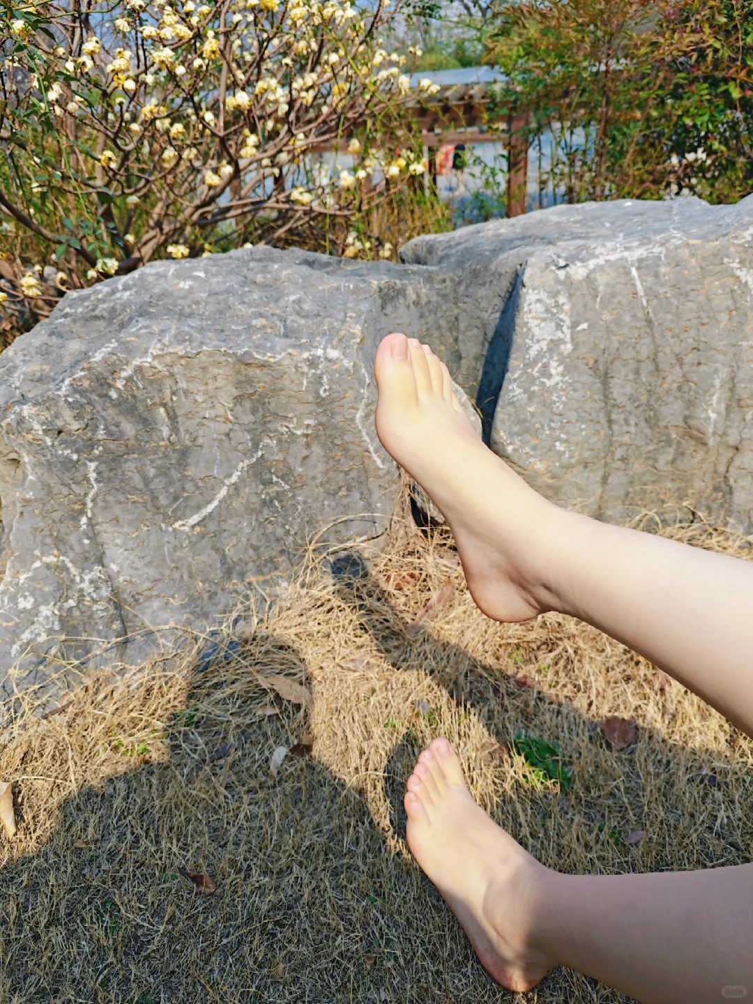 细数半年来穿过的袜袜，最喜欢哪一款？