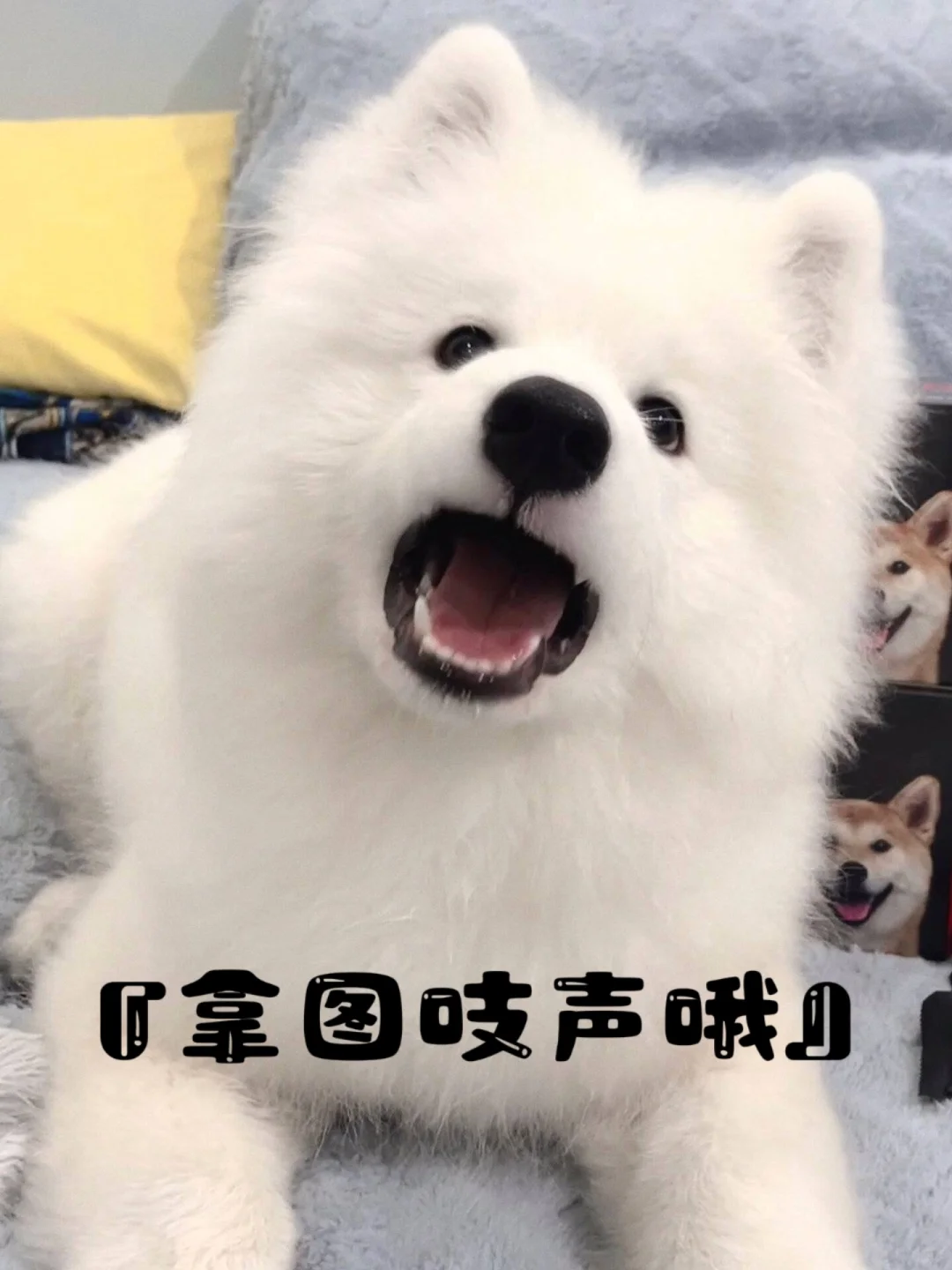 ins氛围感美女壁纸
