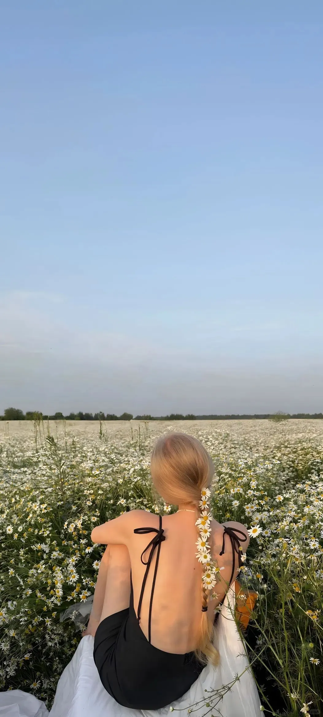 美女合集壁纸
