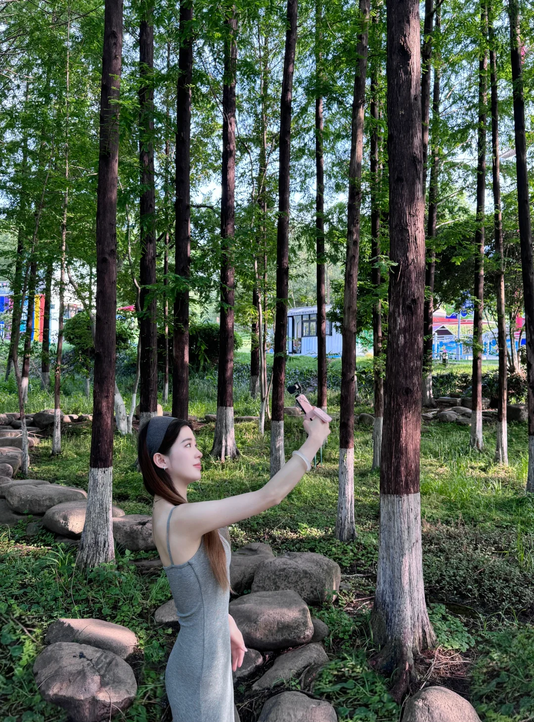 ꙳.吸氧日🌳˚ₓ ⊹🌿•₊˚