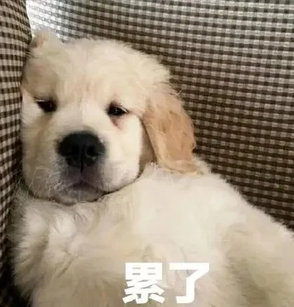 就是，我真的很像女孩子吗？
