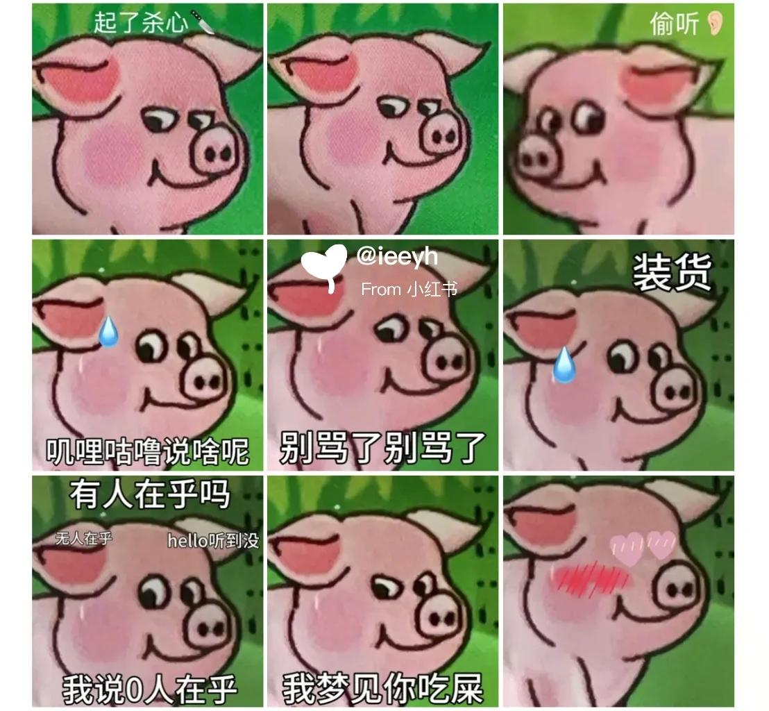 突然就爱上了这头🐷❗❗❗