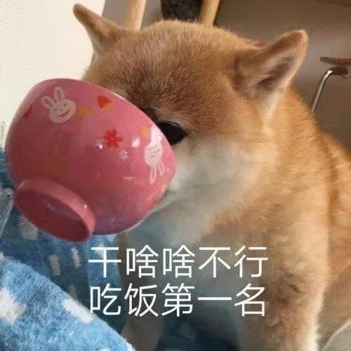 可爱表情包来咯，请查收！
