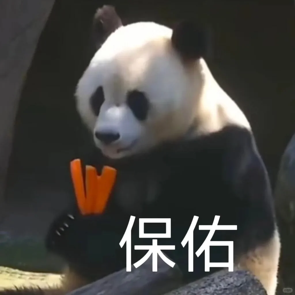 “保佑”好运来～大熊猫表情包15