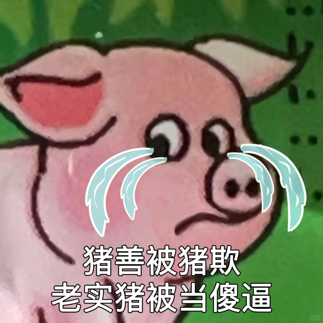 打工猪表情包
