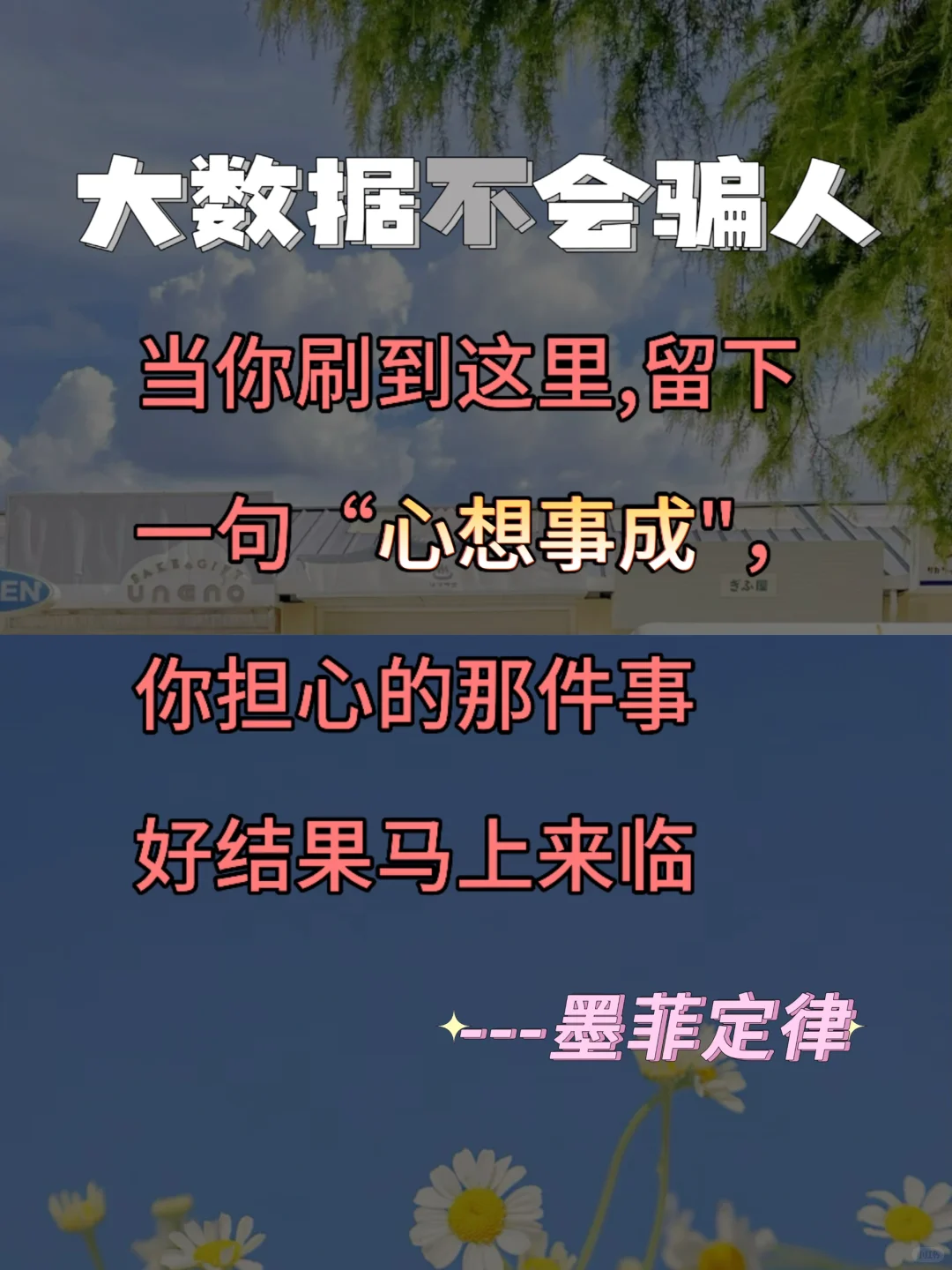 “天选之女”的10大特征