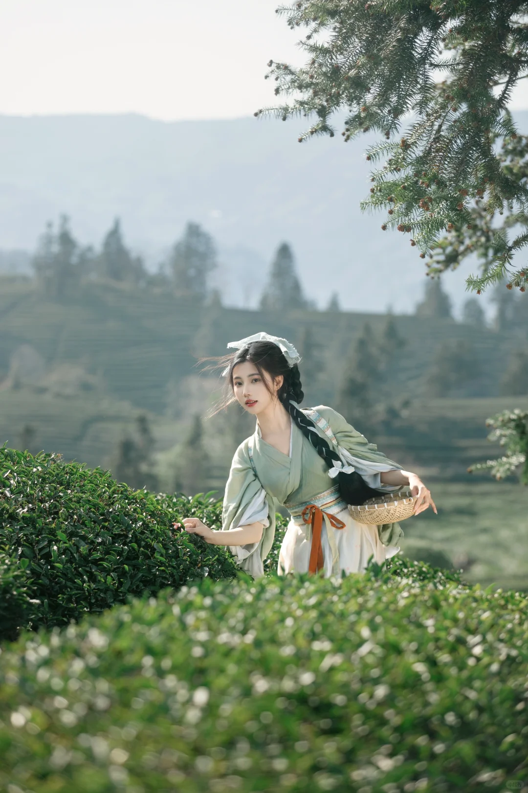 来武夷山怎么能不当一次采茶女呢🍃