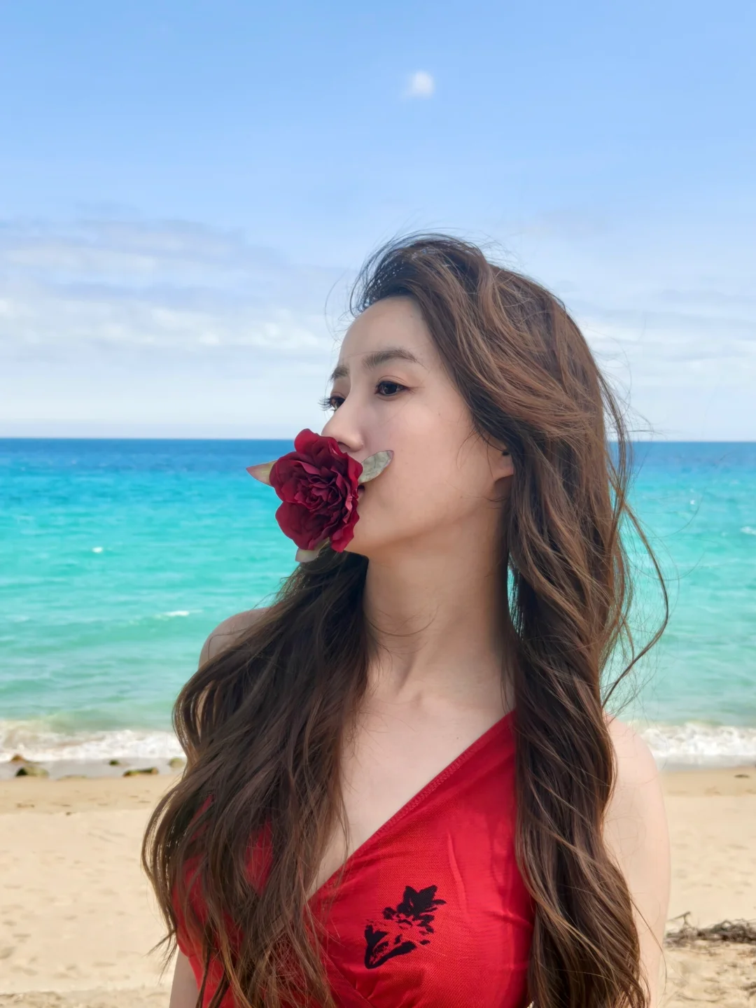 玫瑰与海🌹💙