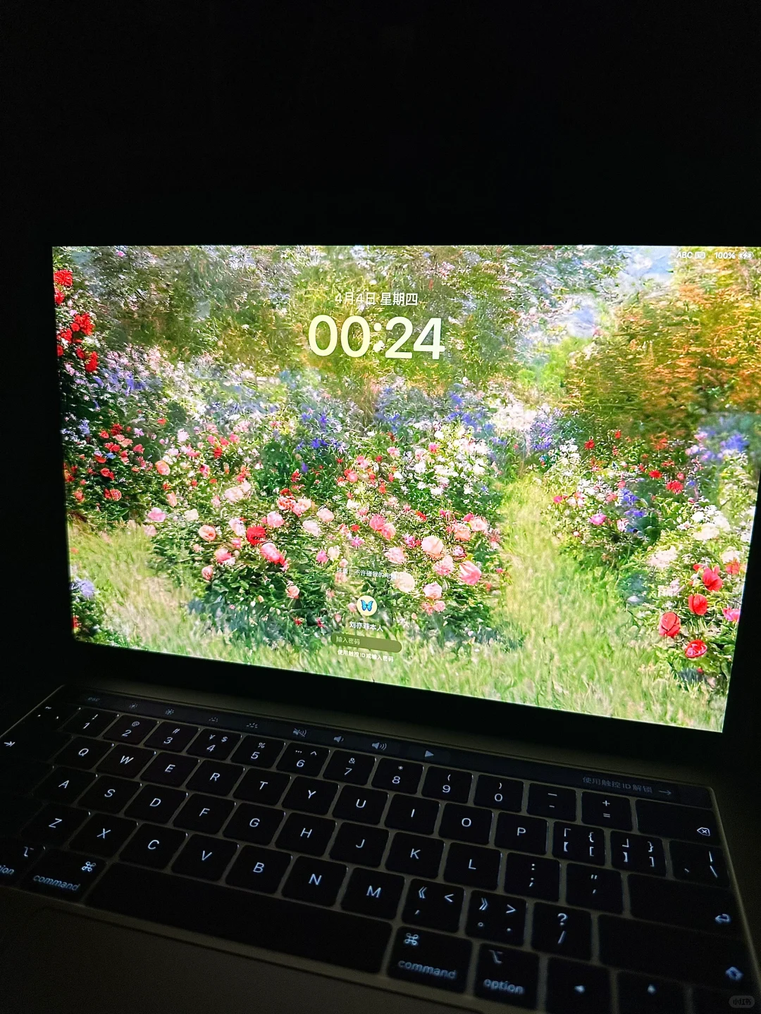 MacBook Pro ｜莫奈油画风春日电脑平板壁纸4
