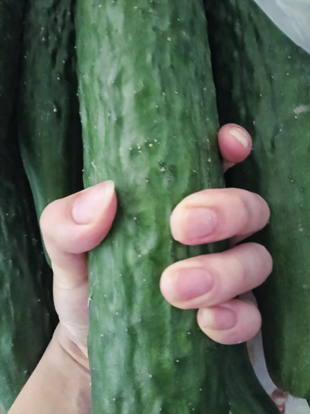女高中生自己种的黄瓜🥒