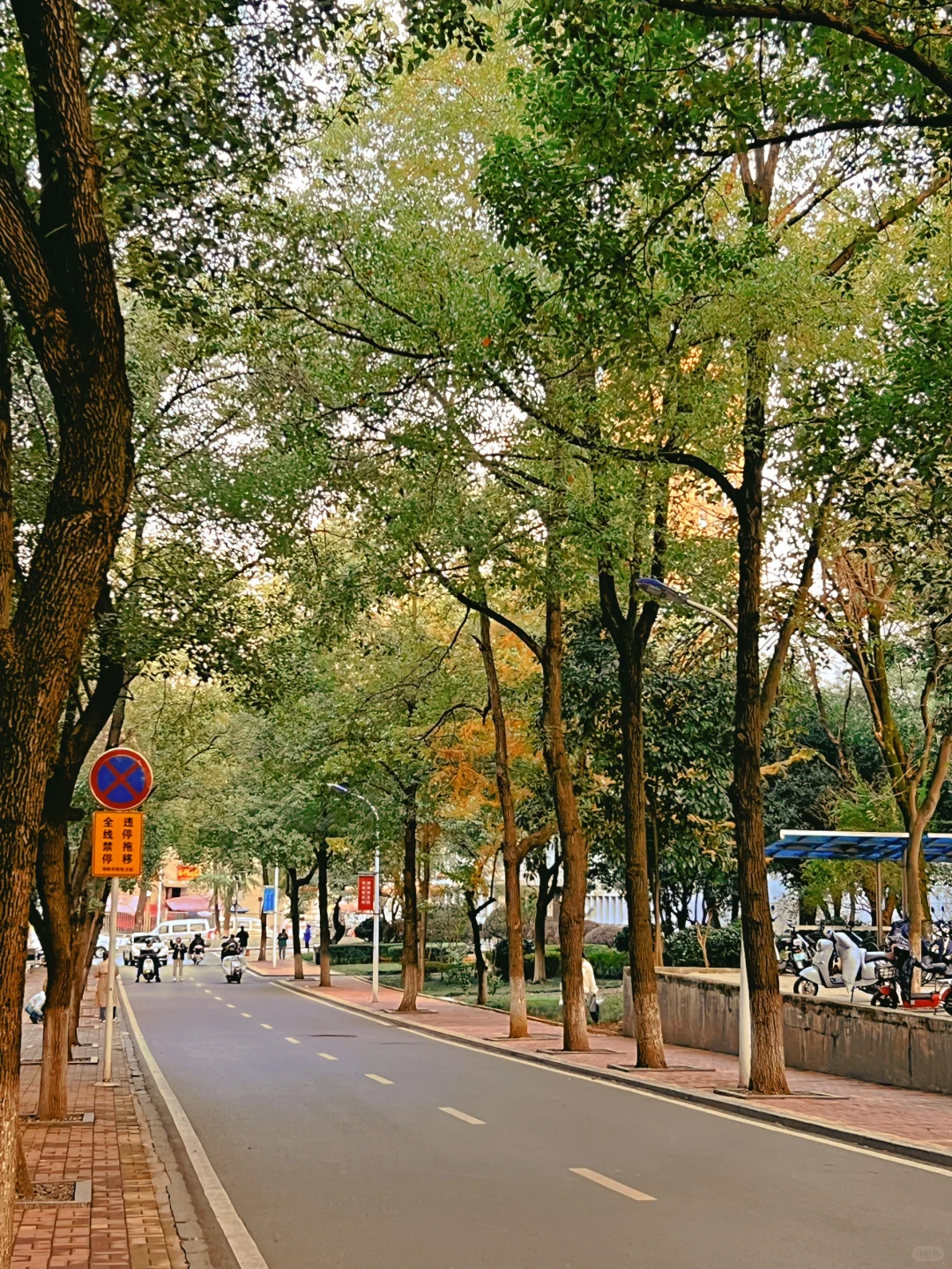 邵阳学院