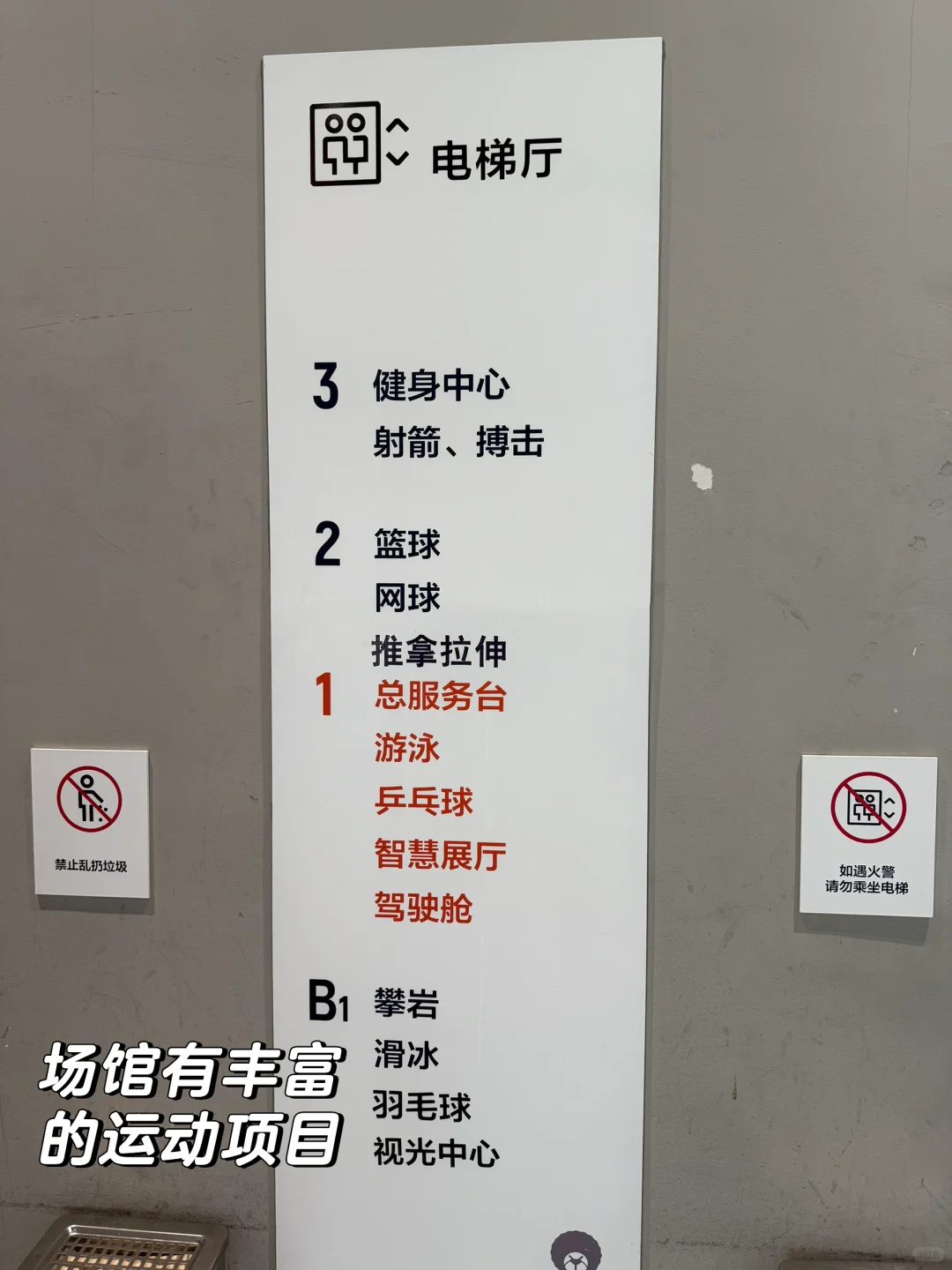 运动氛围浓厚的回龙观体育文化公园游泳馆