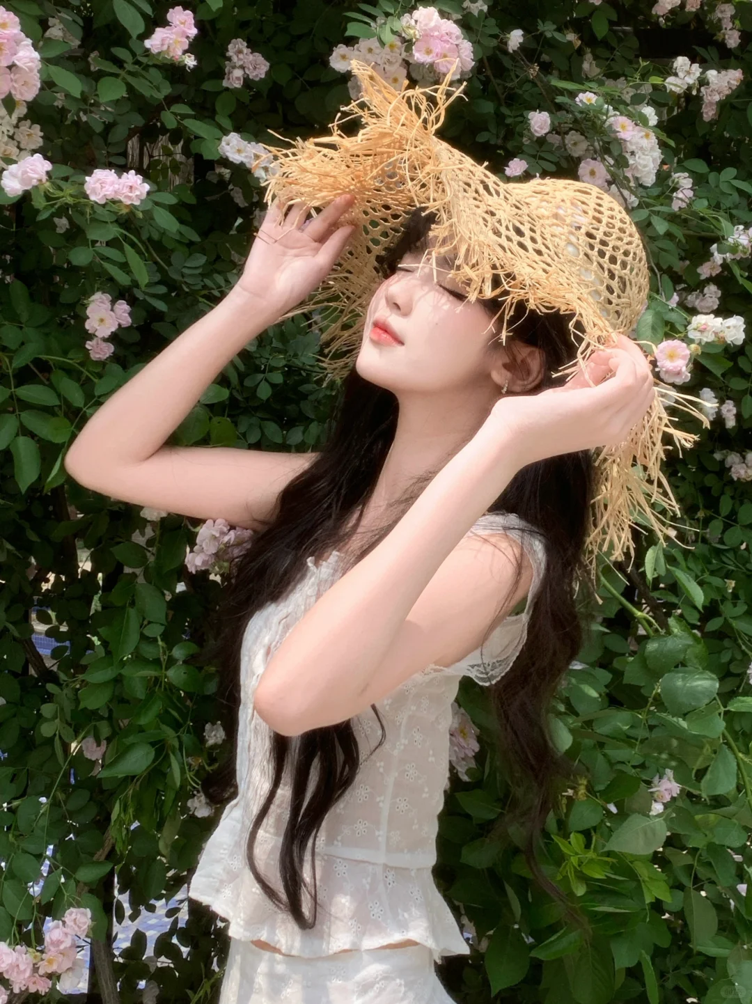 末春初夏 蔷薇盛开时ೀ⋆⑅˚